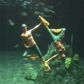 花蓮海洋公園－美人魚秀（水中芭蕾）