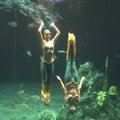 花蓮海洋公園－美人魚秀（水中芭蕾）