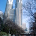 新宿街景 - 東京都廳