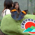 2010 印象迴瀾 - 鯉魚潭大豐蝴蝶生態園區 - 10