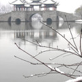 古城揚州又一場冬雪飄然而下。雪後的瘦西湖公園分外秀麗。