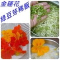 金蓮花饗宴-綠豆芽稀飯