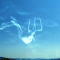 18. 美海軍軍機「藍天使」飛行秀