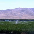 30. 灌溉田地的灑水器