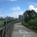 2008.07.27紅樹林自行車步道(自然生態樂園) - 1