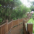 2008.07.27紅樹林自行車步道(自然生態樂園) - 3