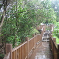 2008.07.27紅樹林自行車步道(自然生態樂園) - 1
