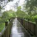 2008.07.27紅樹林自行車步道(自然生態樂園) - 2