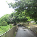 2008.07.27紅樹林自行車步道(自然生態樂園) - 2