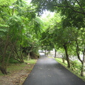 2008.07.27紅樹林自行車步道(自然生態樂園) - 3