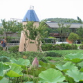 2008.08.17天元宮+大屯花卉農場+石牆仔內休閒農園 - 1