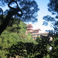 2008.11.2鶯歌碧龍步道 - 2