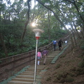 2008.11.2鶯歌碧龍步道 - 1