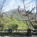 2009.02.01陽明山公園+硫磺谷+北投 - 2