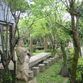 2009.03.14陽明山菁山路尋櫻記 - 1