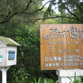 2009.03.14陽明山菁山路尋櫻記 - 1