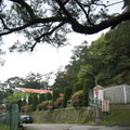 2009.03.14陽明山菁山路尋櫻記 - 1