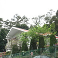 2009.03.14陽明山菁山路尋櫻記 - 1