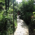 2009.08.23虎山自然步道 - 1