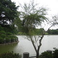 2009.10.03林口志清湖 - 3