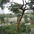 大安森林公園『夢想2010』台北花卉展 - 2