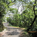 2010.04.21四分子產業道路桐花雪紛飛 - 3