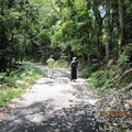 2010.04.21四分子產業道路桐花雪紛飛 - 5