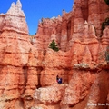 Bryce Canyon National Park, Utah, U.S.A. - 1