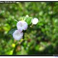 [每日一拍]2010年4月 - 5