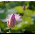 [每日一拍]2010年5月 - 12