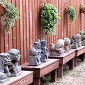 齊東街日式宿舍庭園的石獅子-鳳凰網-文化局