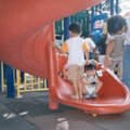 去公園玩( 2 歲 )