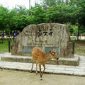 東大寺前