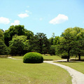 二條城 本丸庭院