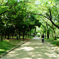 大阪城 park2
