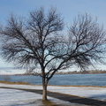 Columbia Park Trail