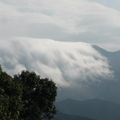 東眼山雲瀑