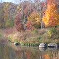 湖邊的秋