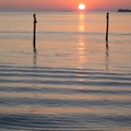 夕陽 - Cedar Key, Florida