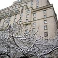 冬─溫哥華大飯店是十九世紀，北美西北海岸的代表性建築。大雪覆蓋了早春的花苞。