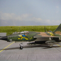 Rizco AREA-88 1/144 F-105D Thunderchief by 阮文忠