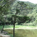 新山夢湖2