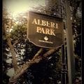 奧克蘭阿爾伯特公園 (Albert Park) 的元宵燈會街景