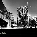 黑白照 紐西蘭 Auckland 市景 201101- f