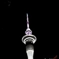奧克蘭天空塔 ( Auckland Sky Tower)