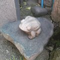 芭蕉神社的石蛙