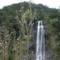 烏來瀑布風景區 , 以 NIKKON CP5000 拍攝 .