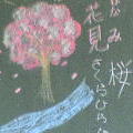 教室黑板的櫻花