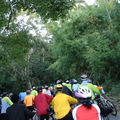 2008美利達單車嘉年華逍遙遊_清水岩露營區 - 5