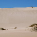 243-可玩滑沙的沙丘